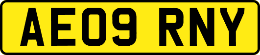AE09RNY