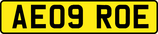 AE09ROE