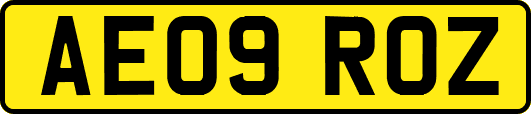 AE09ROZ