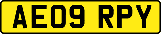 AE09RPY