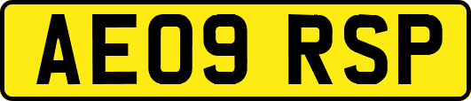 AE09RSP