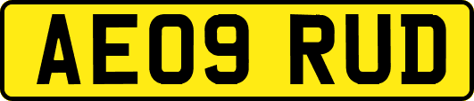 AE09RUD