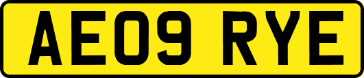AE09RYE