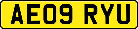 AE09RYU