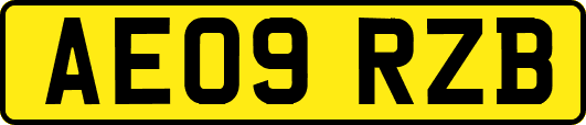 AE09RZB