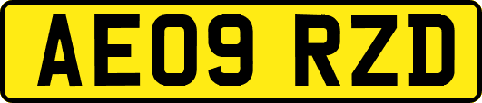 AE09RZD