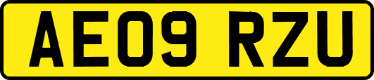 AE09RZU