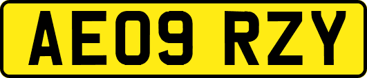 AE09RZY