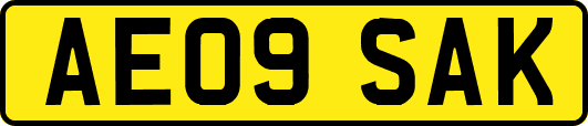 AE09SAK