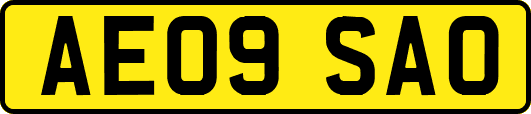 AE09SAO