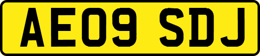 AE09SDJ