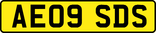 AE09SDS
