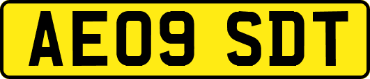 AE09SDT