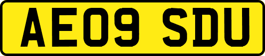 AE09SDU