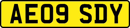 AE09SDY