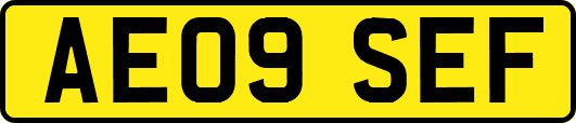 AE09SEF