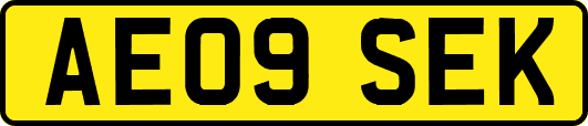 AE09SEK