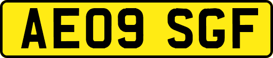AE09SGF