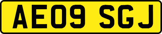 AE09SGJ
