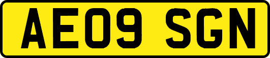 AE09SGN