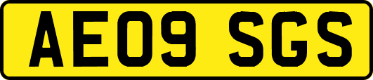 AE09SGS