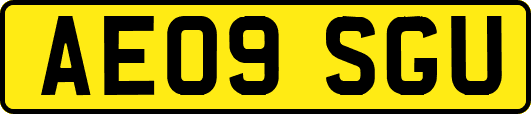 AE09SGU