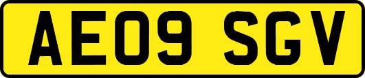 AE09SGV