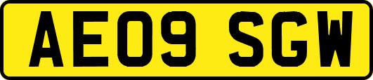AE09SGW