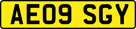 AE09SGY