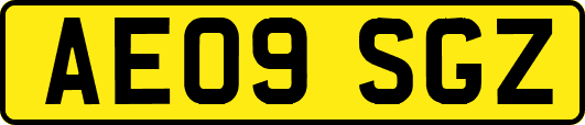AE09SGZ