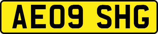 AE09SHG