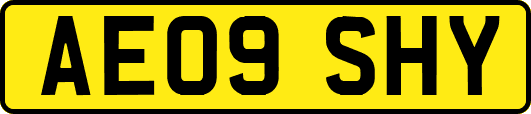AE09SHY
