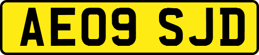 AE09SJD