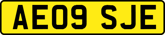 AE09SJE