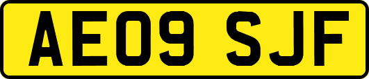 AE09SJF