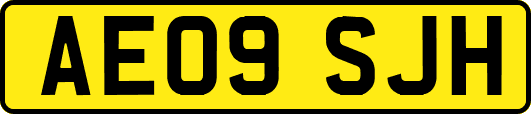 AE09SJH