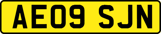AE09SJN