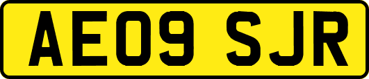 AE09SJR