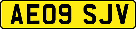 AE09SJV