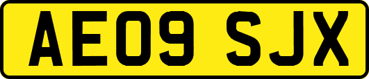 AE09SJX