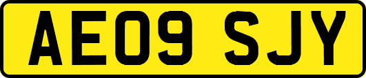 AE09SJY