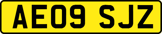 AE09SJZ