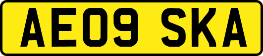 AE09SKA