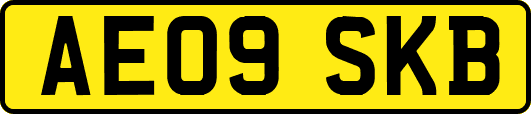 AE09SKB