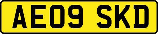 AE09SKD