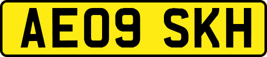 AE09SKH