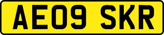 AE09SKR