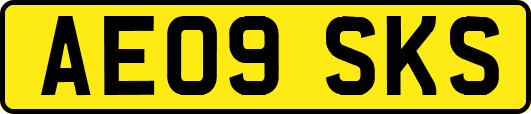 AE09SKS