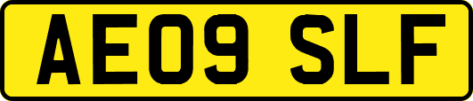AE09SLF