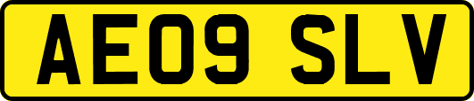AE09SLV